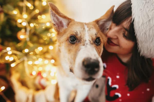 Happy girl in santa hat hugging with cute dog on background of golden beautiful christmas tree with lights in festive room. family warm atmospheric moments. winter holidays