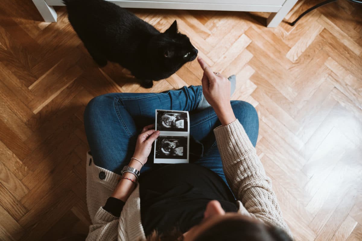 young pregnant woman at home with black cat. woman holding a baby ultrasound