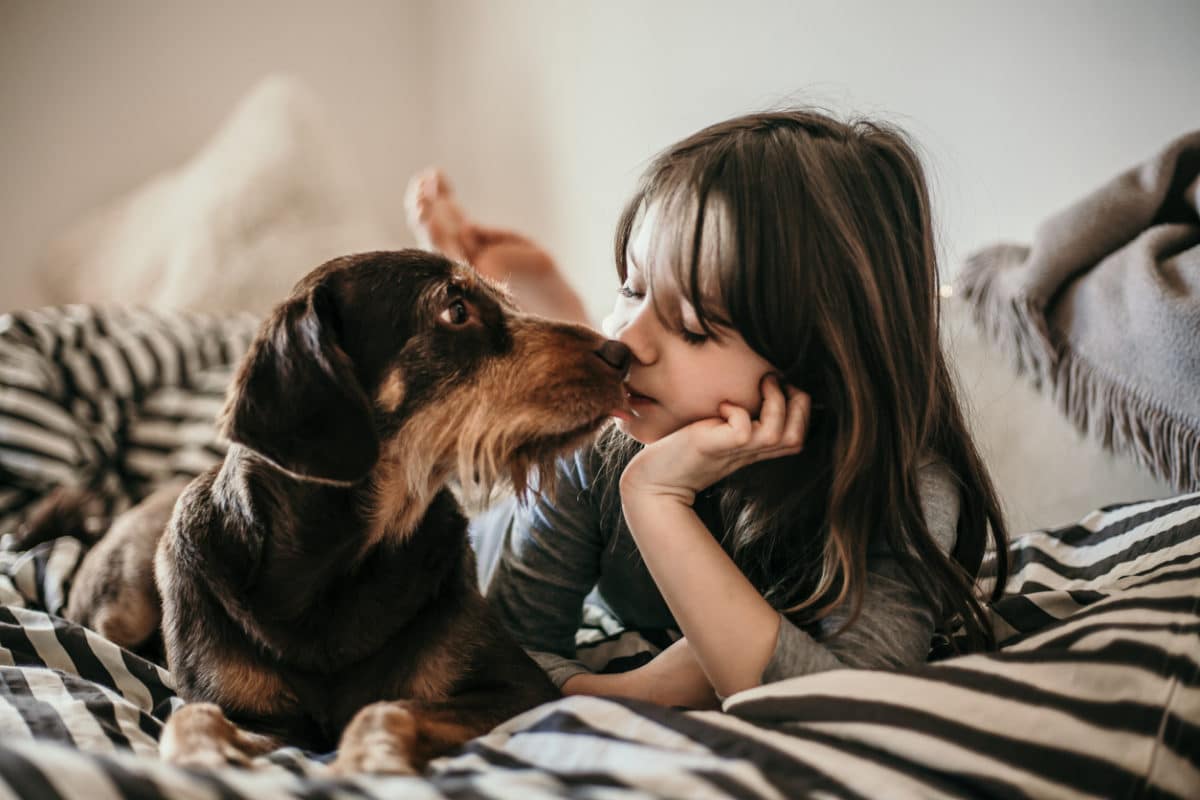 Portrait of little girl and her dog in the bed