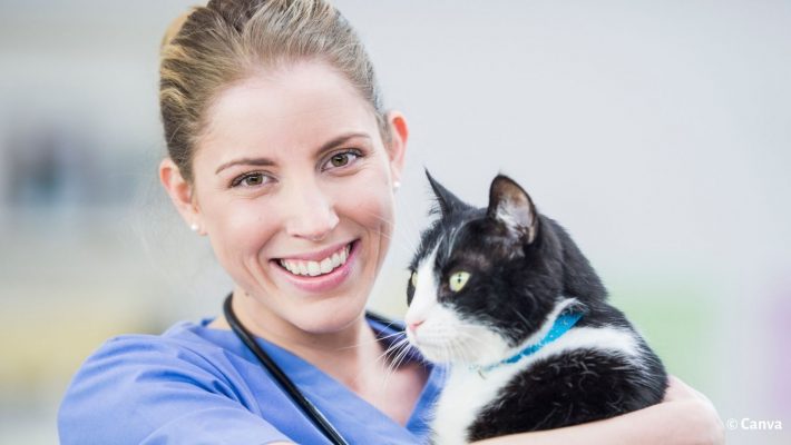 technicienne en santé animale avec un chat