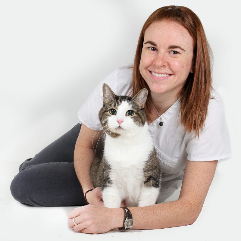 Dre Isabelle Demontigny-Bédard, vétérinaire spécialiste en comportement