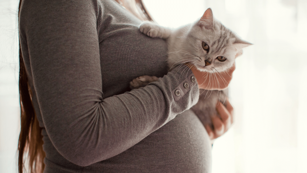 Femme enceinte avec un chat